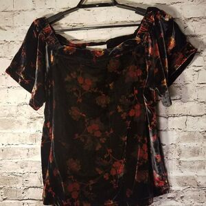 NWT Loft women's shirt Velvet petites